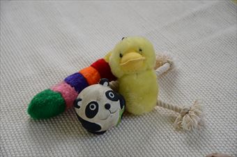 カラフル おもちゃ
