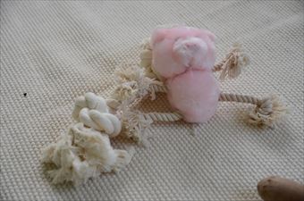 犬のおもちゃ ロープ