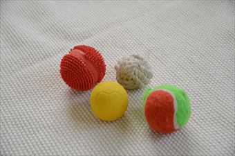 ボール 犬のおもちゃ