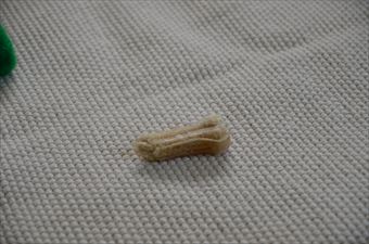 犬のおやつ ガム 噛むおもちゃ