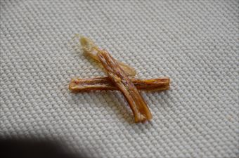 犬のおやつ 馬のアキレス腱