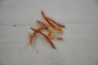 犬 おやつ お気に入り 好きなもの