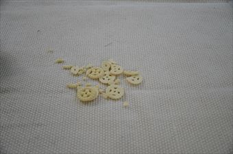 犬のおやつ クッキー