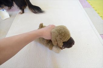 ぬいぐるみ 犬 握る 手
