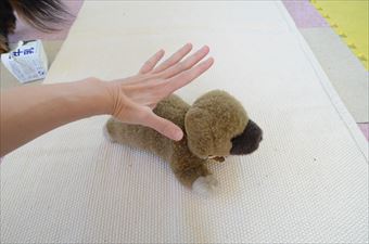 犬のぬいぐるみ 叩く