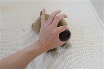 犬のぬいぐるみ 鼻 マズル 抑える