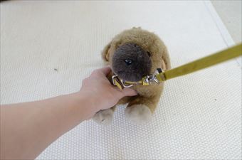 ぬいぐるみ 犬 ひっぱる