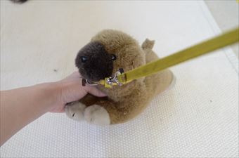犬のぬいぐるみ リード カラー 散歩