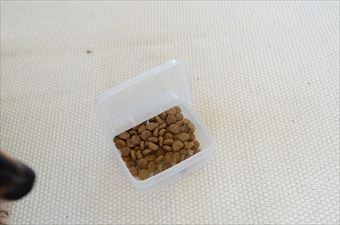 ドックフード 入れ物