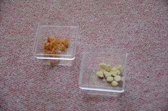 犬 おやつ ひと口 切ってある