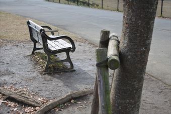 公園 ベンチ 孤独 寂しい 淋しい 落ち葉 枯れ葉 秋