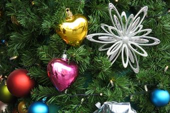 クリスマス ツリー きれい 飾り 楽しい ワクワク