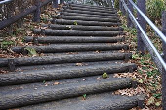 階段 公園 落ち葉 枯れ葉 曇り 上り坂 