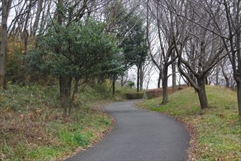冬 公園 散歩 曇り 寂しい 孤独 道