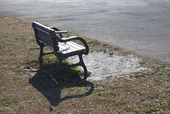 ベンチ 公園 晴れ 陰 水たまり