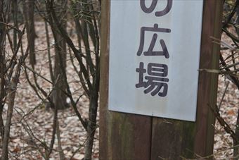 看板 広場 公園 落ち葉 枯れ葉 冬 秋