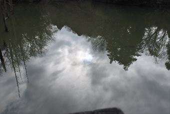 池 水面 恐ろしい 怖い 公園