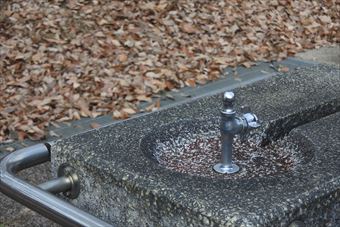 水道 水飲み場 落ち葉 枯れ葉 公園 冬 秋