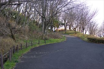 公園 夕焼け 散歩道 アスファルト