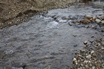 川 流れ 穏やか 水 河原 石