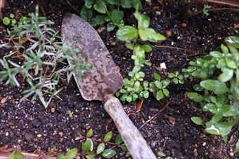 スコップ 使い古された ハーブ ガーデニング