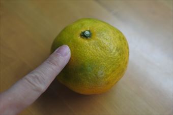 みかん 黄色 果物 手 冬 持つ