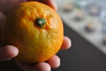 蜜柑 取り立て 黄色 ミカン