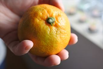 みかん 取り立て 黄色