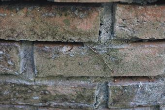 煉瓦 汚れてる レンガ 公園 花壇 古い 歴史