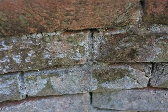 煉瓦 古い レンガ 公園 花壇 歴史 汚い