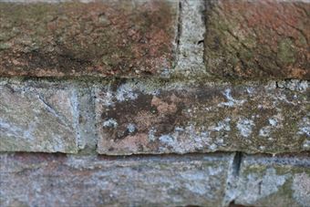 煉瓦 レンガ 公園 花壇 古い 歴史 汚い