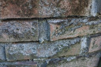 花壇 レンガ 汚れ 古い