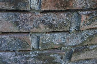 レンガ 古い 汚れ 花壇 煉瓦