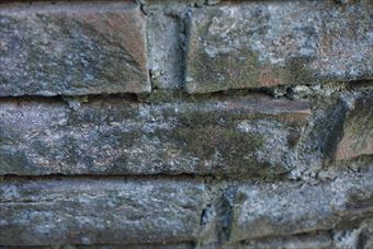 レンガ 花壇 古い 汚れ コンクリ