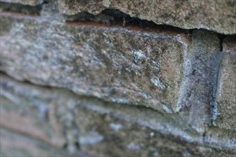 レンガ 煉瓦 花壇 古い 汚れ