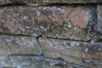 レンガ 花壇 古い 汚れ