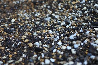 地面 土 小石 白 茶色