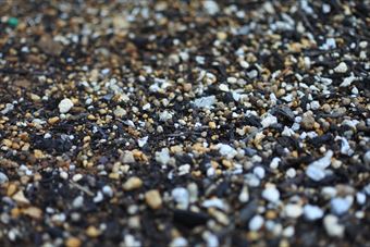 土 白 茶 黒 小石