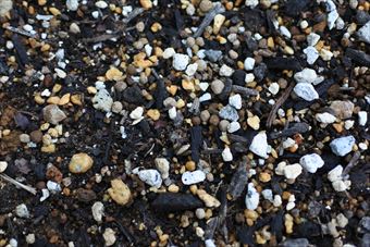 土 地面 ガーデニング 花壇