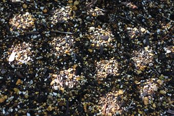 花壇 土 光 格子 小石 陽射し