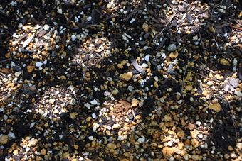 格子 土 陽だまり 日差し 木漏れ日