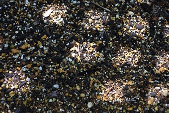 花壇 土 小さい石 日差し