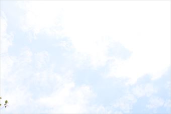 空 まぶしい 白