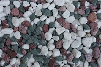 庭園 日本風 敷石