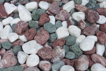 石 庭 色 赤 緑 白