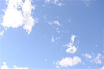 本日は晴天です。