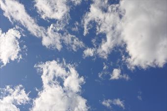 いいお天気です