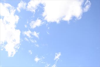 陽ざしが強いです。まぶしいです