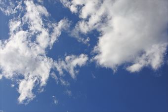 今日もよく晴れています