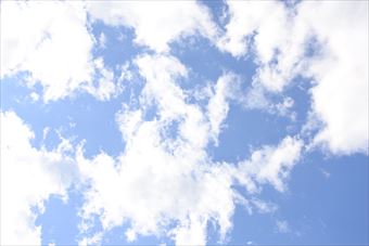 まぶしい。夏の太陽